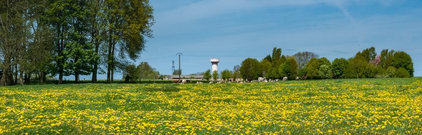 sortie nature