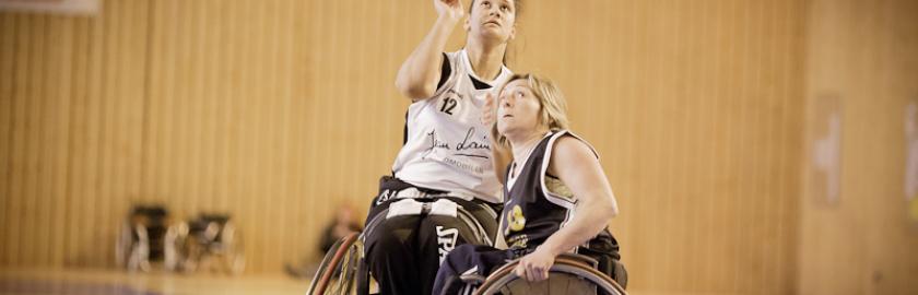 basket fauteuil