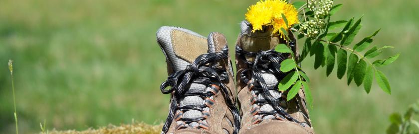 Chaussures de randonnée