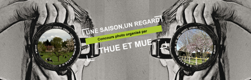 Visuel concours photo