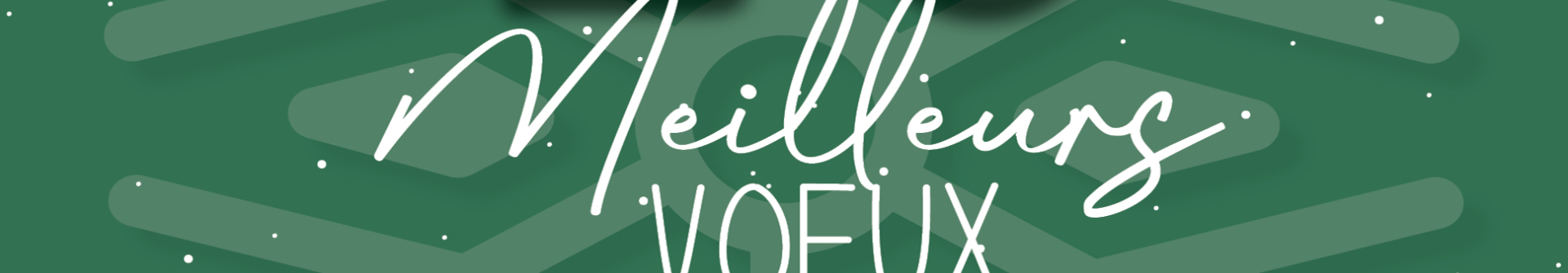 Meilleurs vœux 2026