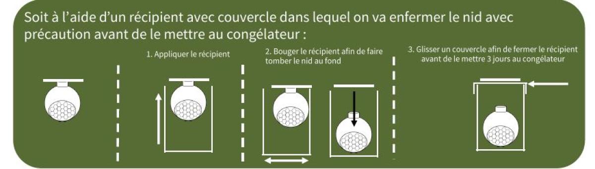 Lutte nid primaire
