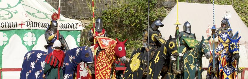 Chevaliers prêts pour la joute