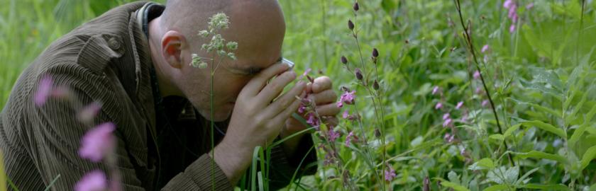 une personne entrain d'examiner une plante sauvage