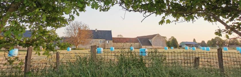 Ballots de foin