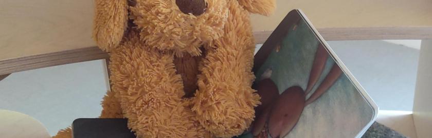 doudou lisant un album
