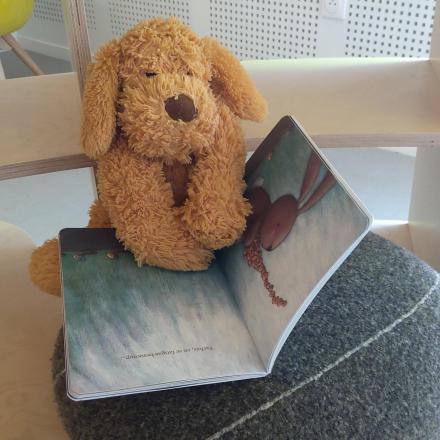 un doudou qui lit un livre