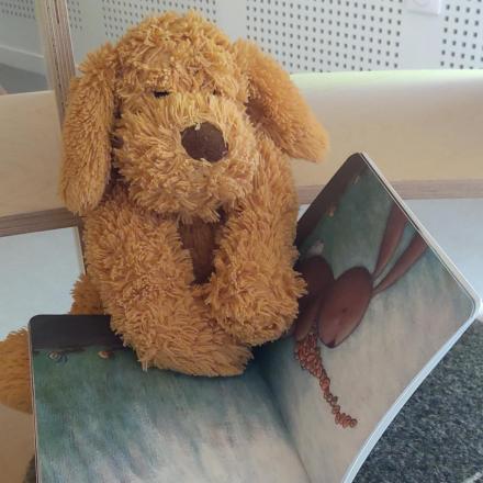doudou lisant un album